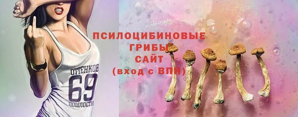 PSILOCYBIN Куйбышев
