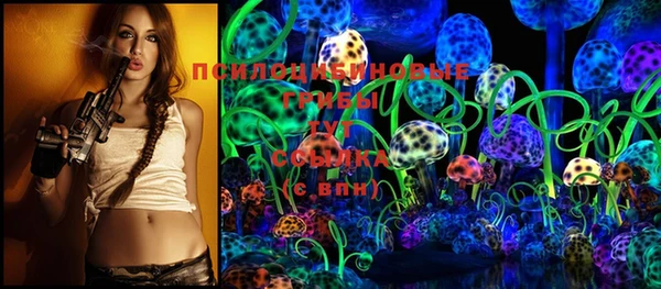 PSILOCYBIN Куйбышев