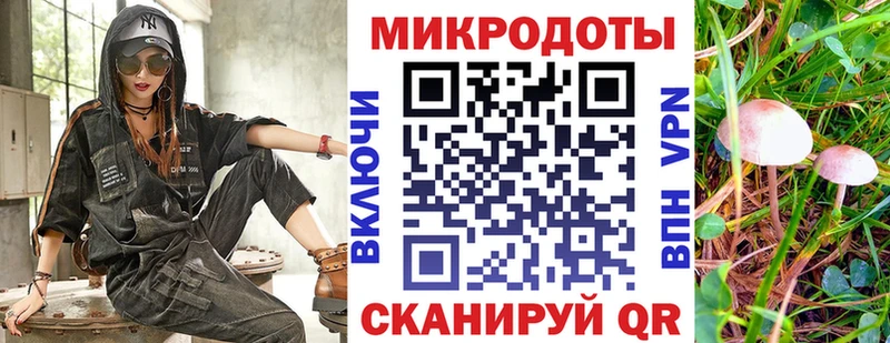 как найти   Лодейное Поле  Псилоцибиновые грибы мицелий 